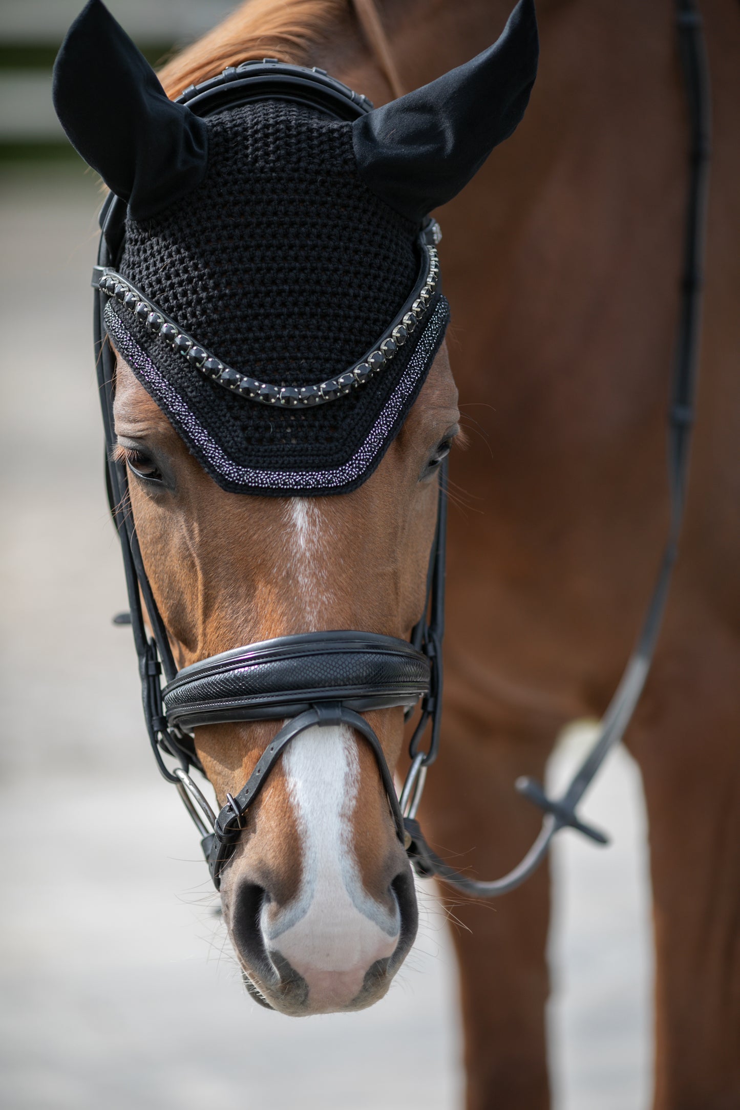 Fliegenmütze Velvet (Black)