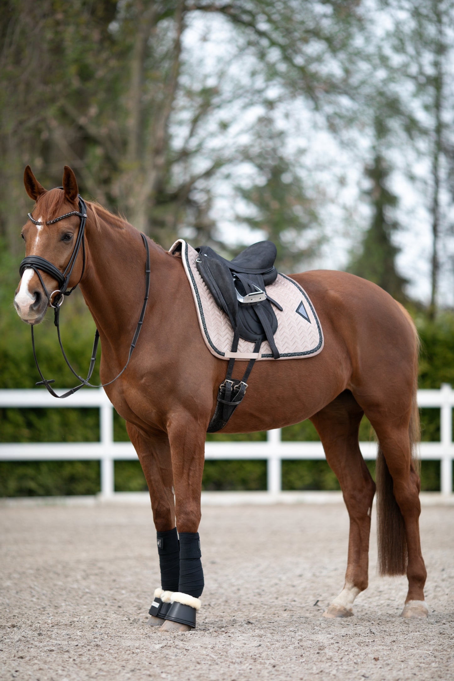 Velvet Schabracke (Beige)