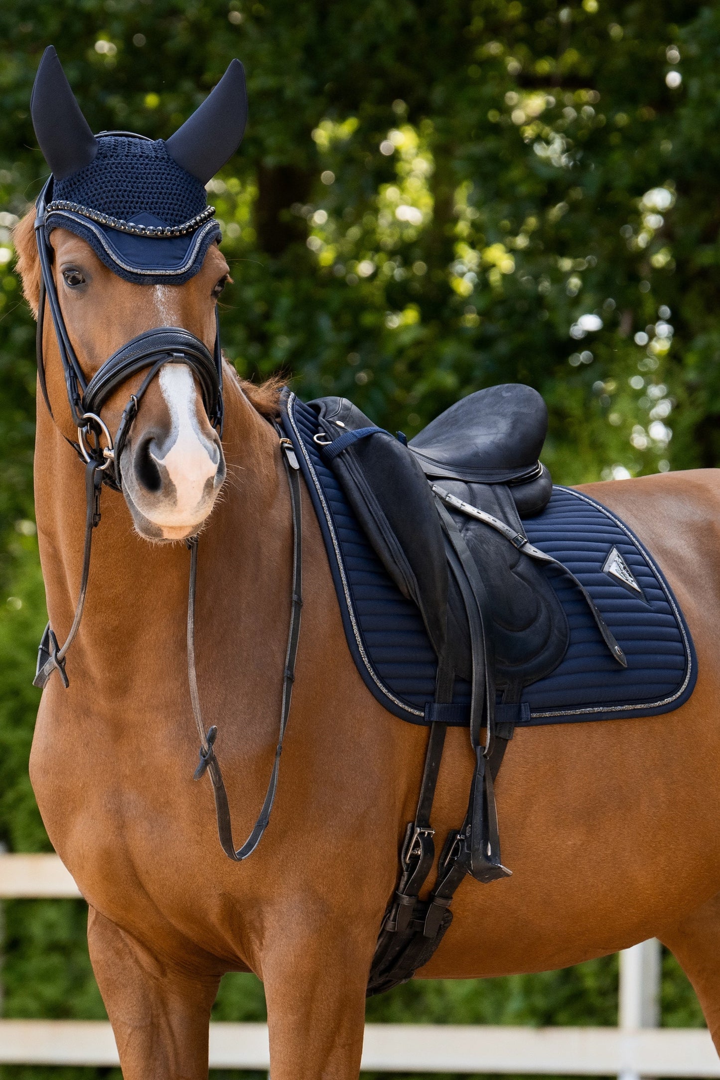 Fliegenmütze Glowshell Soundless (Navy)