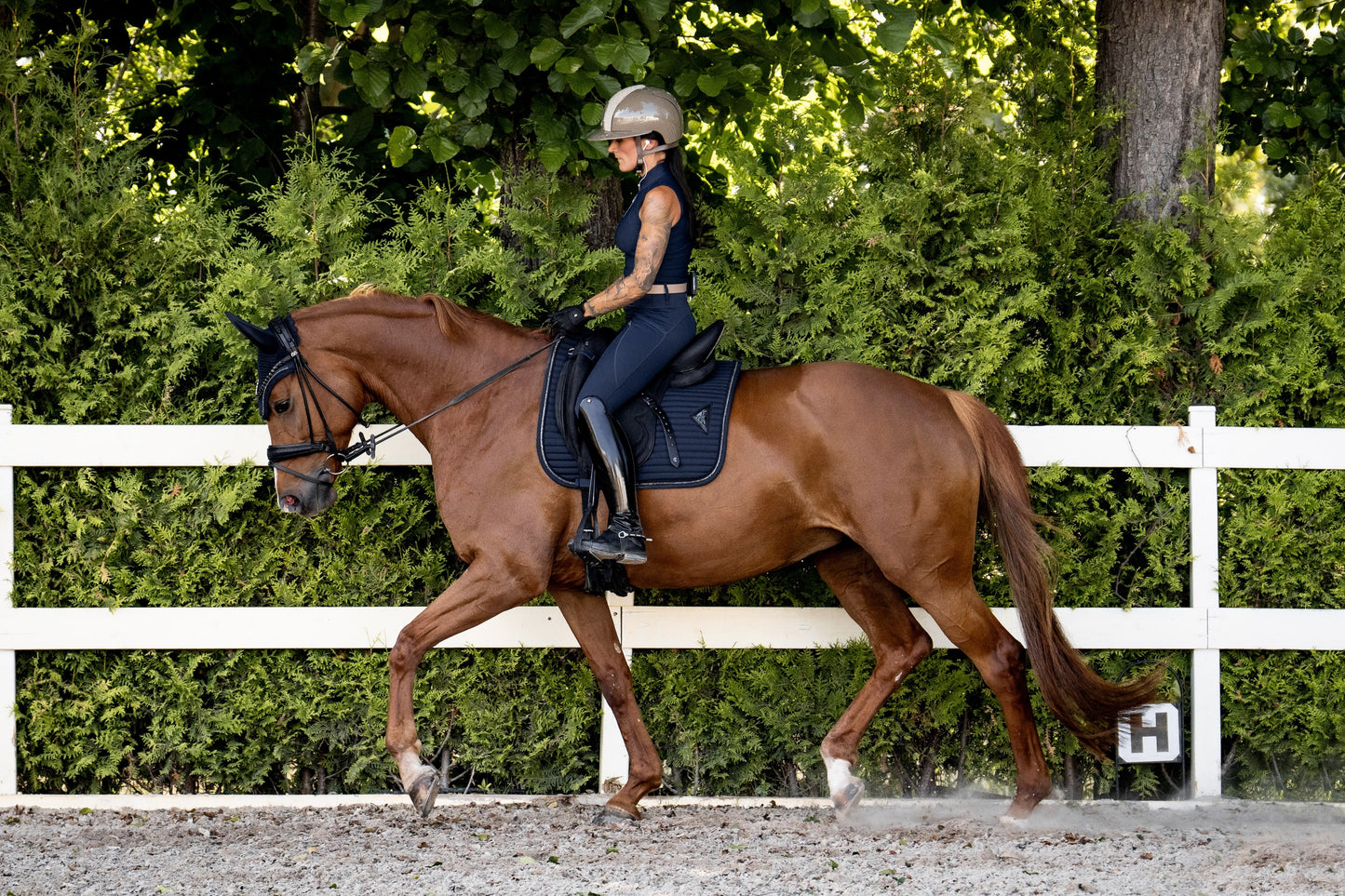 Glowshell Schabracke 1.0 (Navy)