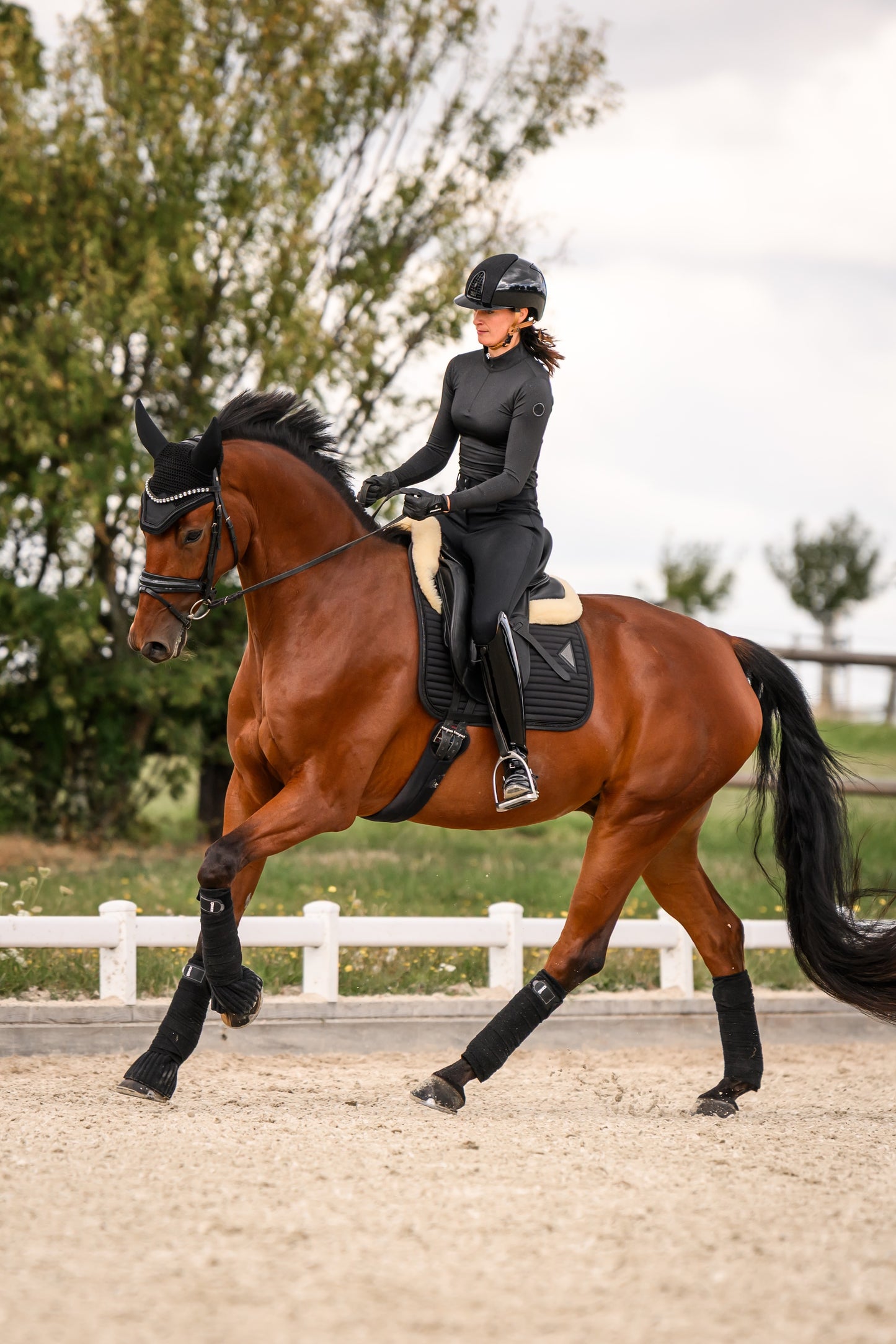 Glowshell Schabracke (Black)