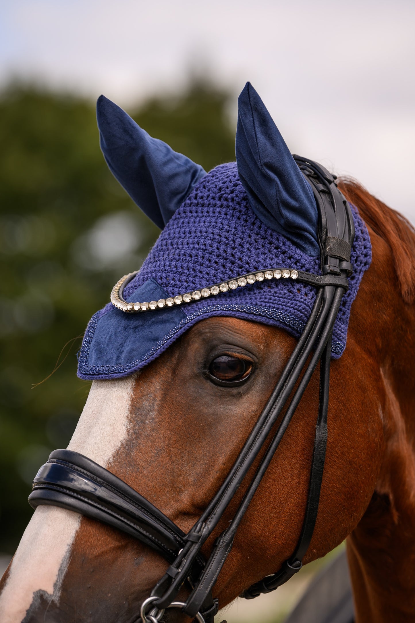 Bundle Fliegenmütze und Schabracke Velvet (Navy)