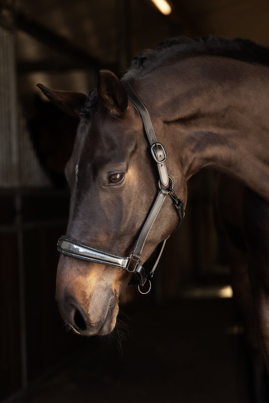 Soft-Lederhalfter (Glitter Black)