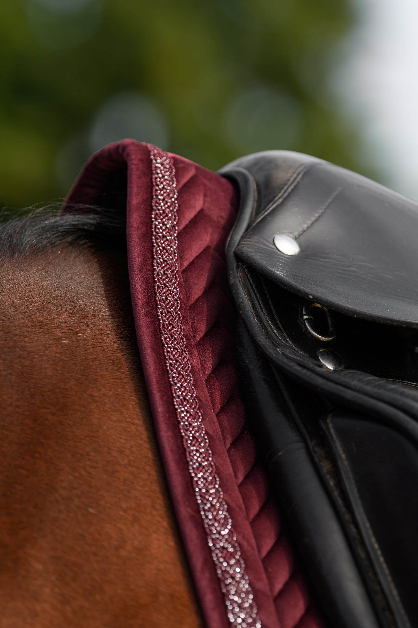 Velvet Schabracke (Burgundy)
