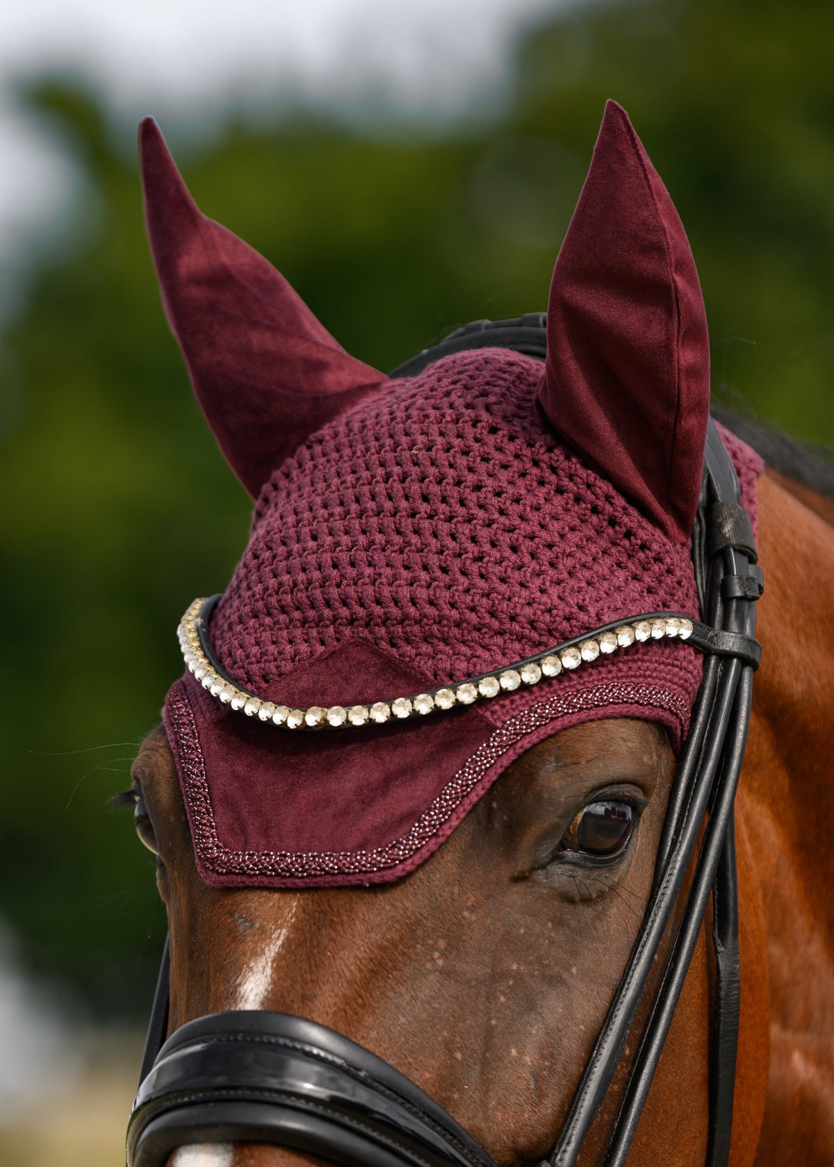 Burgundy