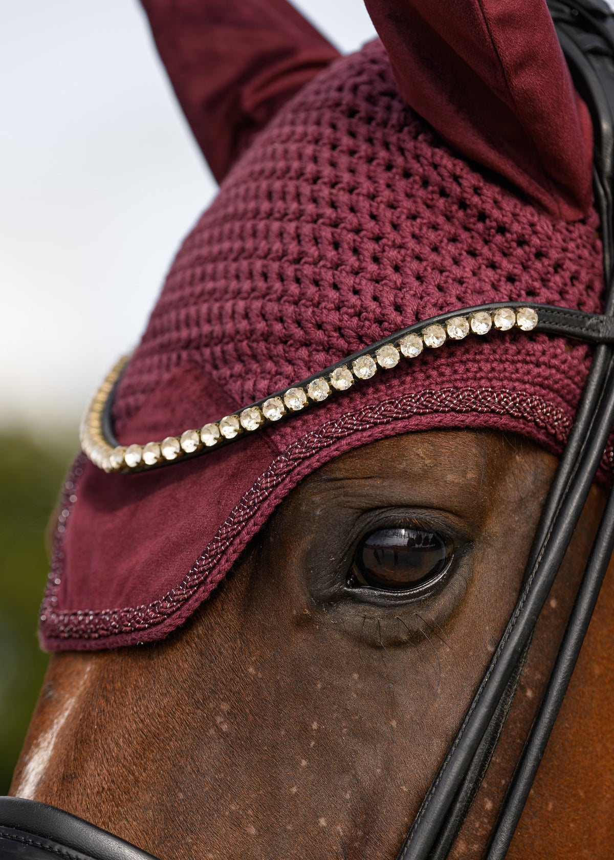 Burgundy
