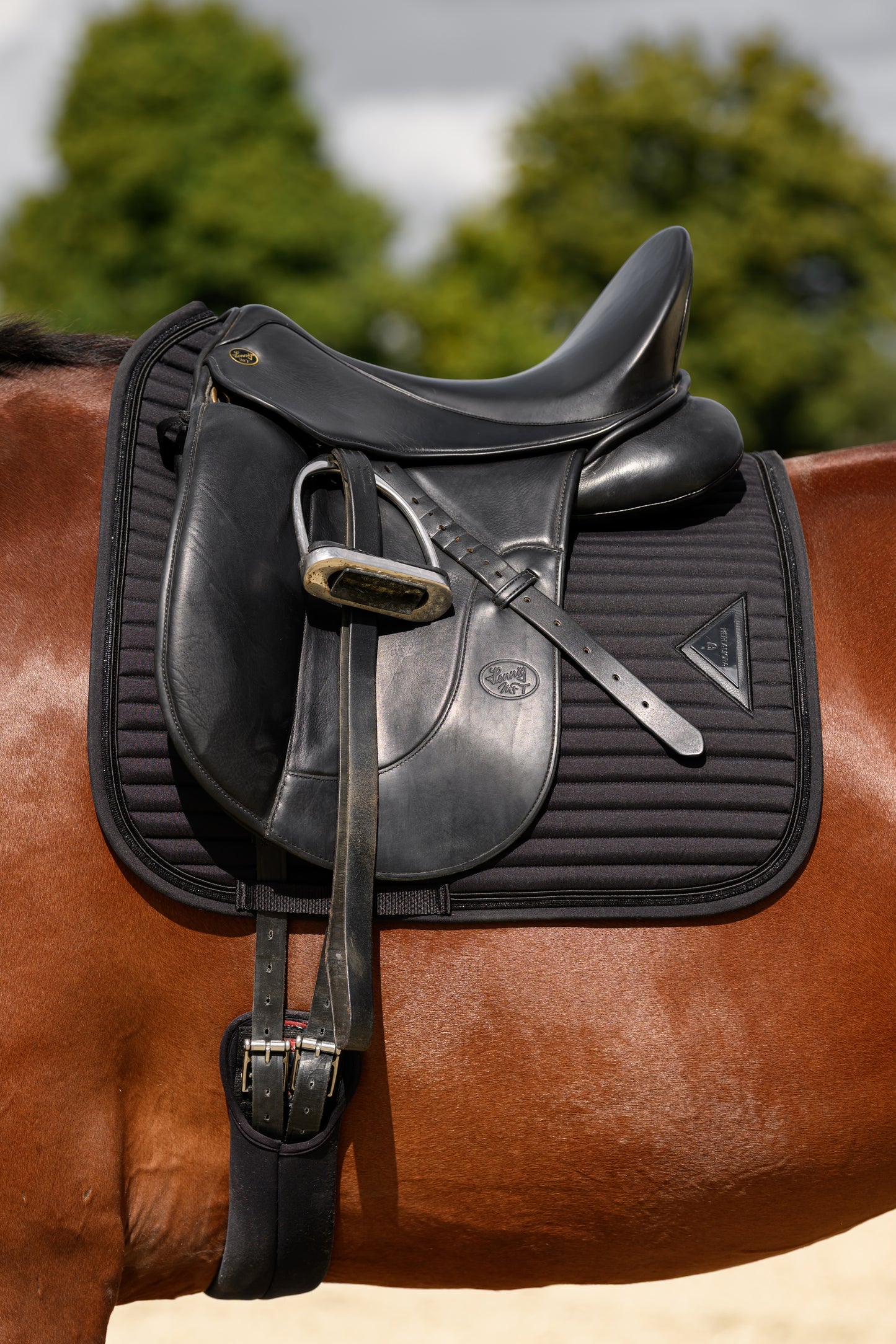 Glowshell Schabracke (Black)