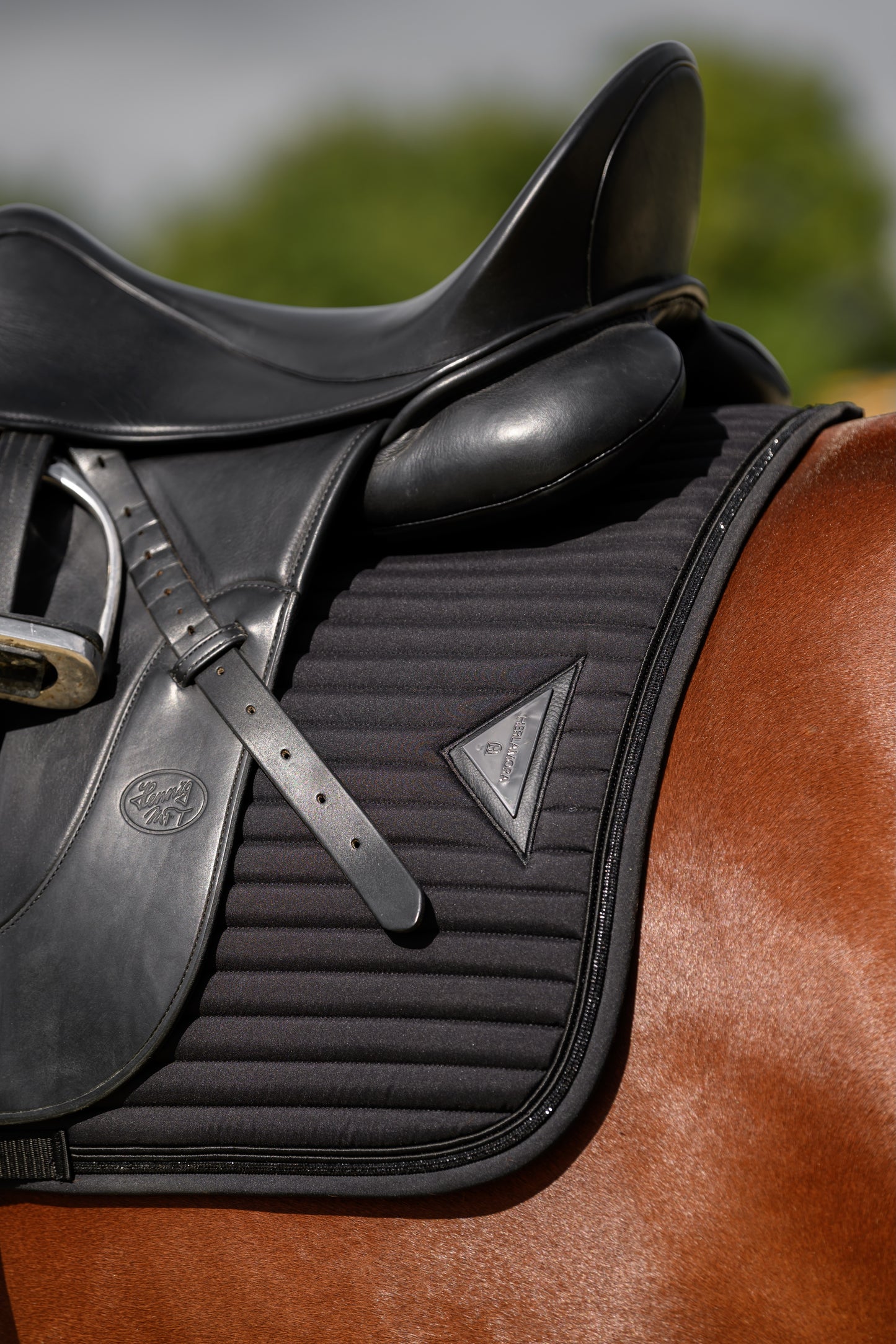 Glowshell Schabracke (Black)