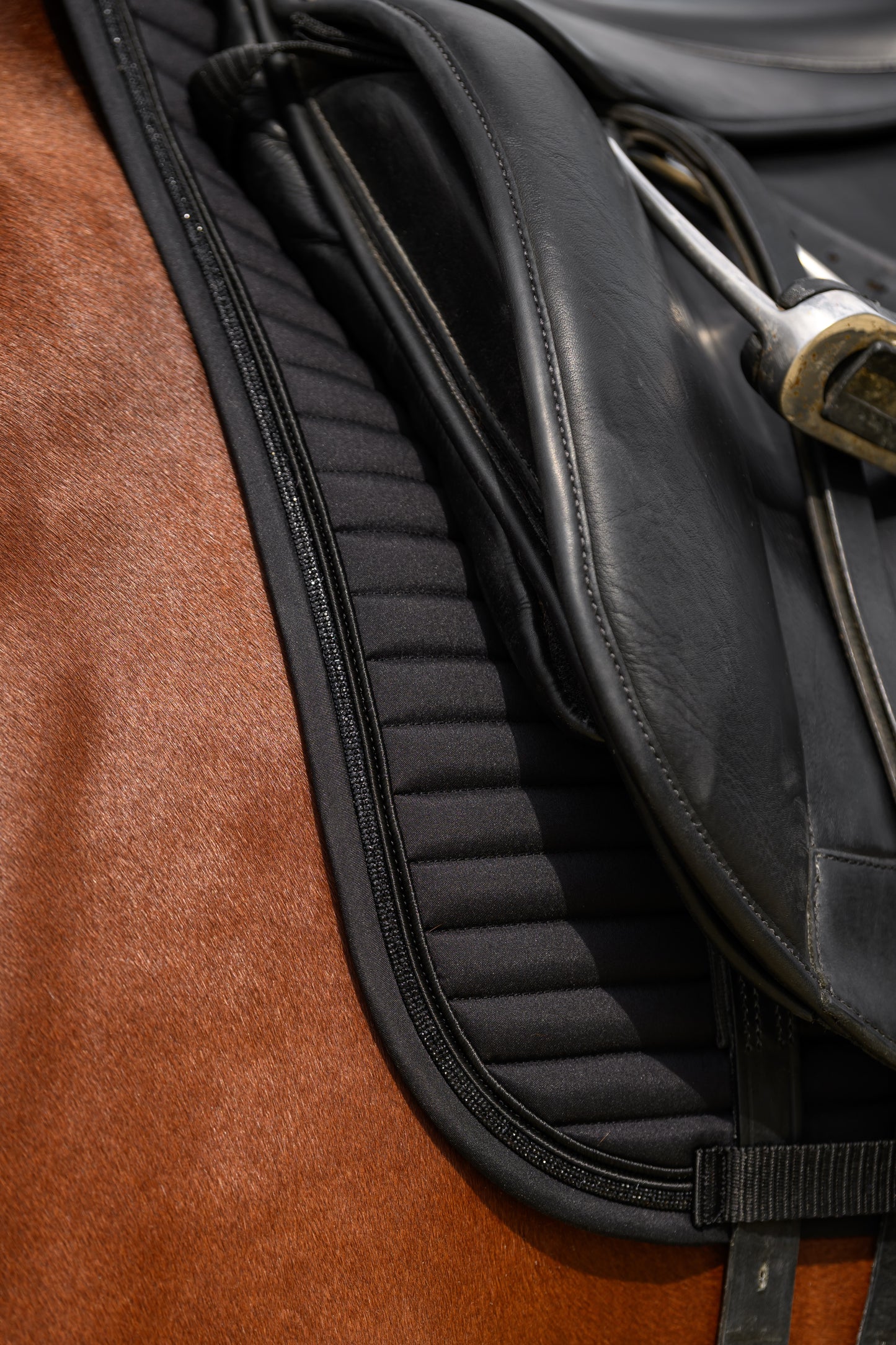 Glowshell Schabracke (Black)