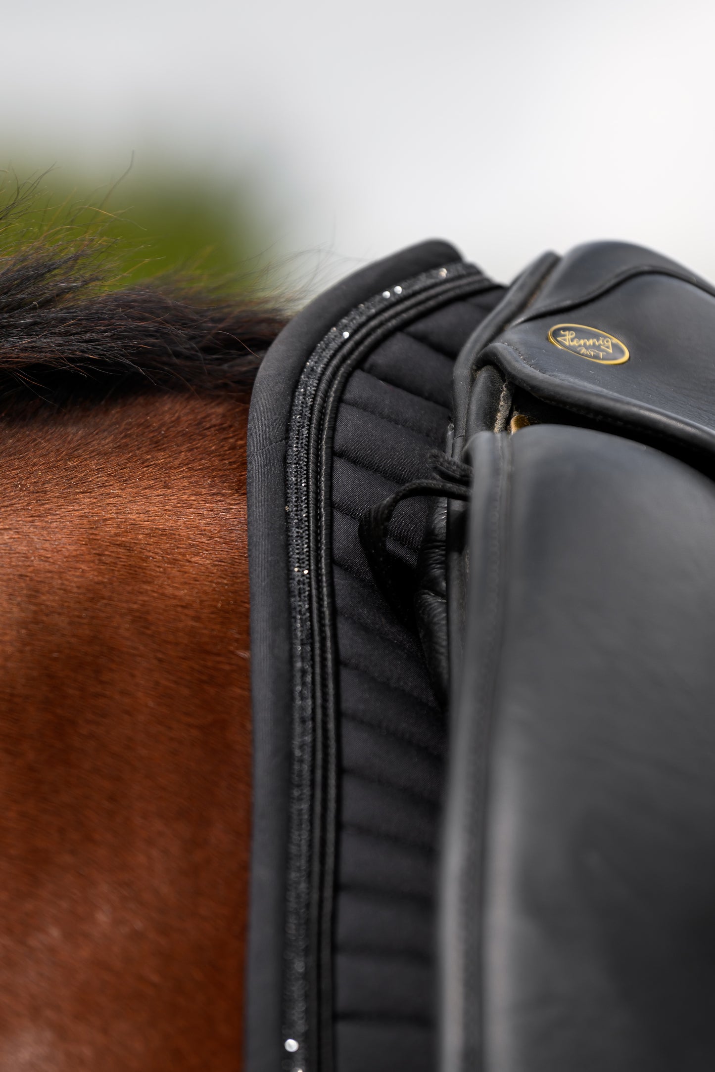 Glowshell Schabracke (Black)