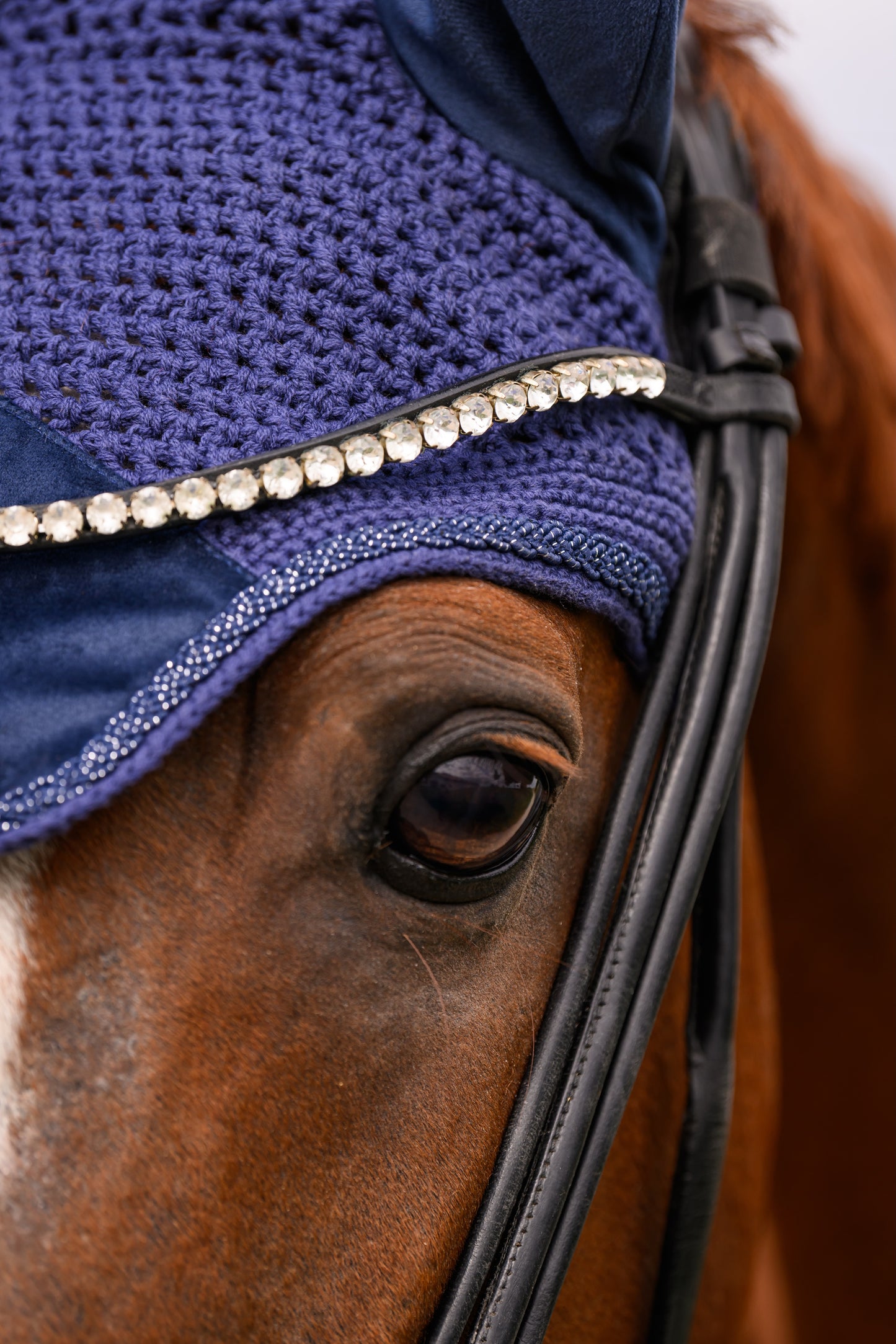 Fliegenmütze Velvet (Navy)