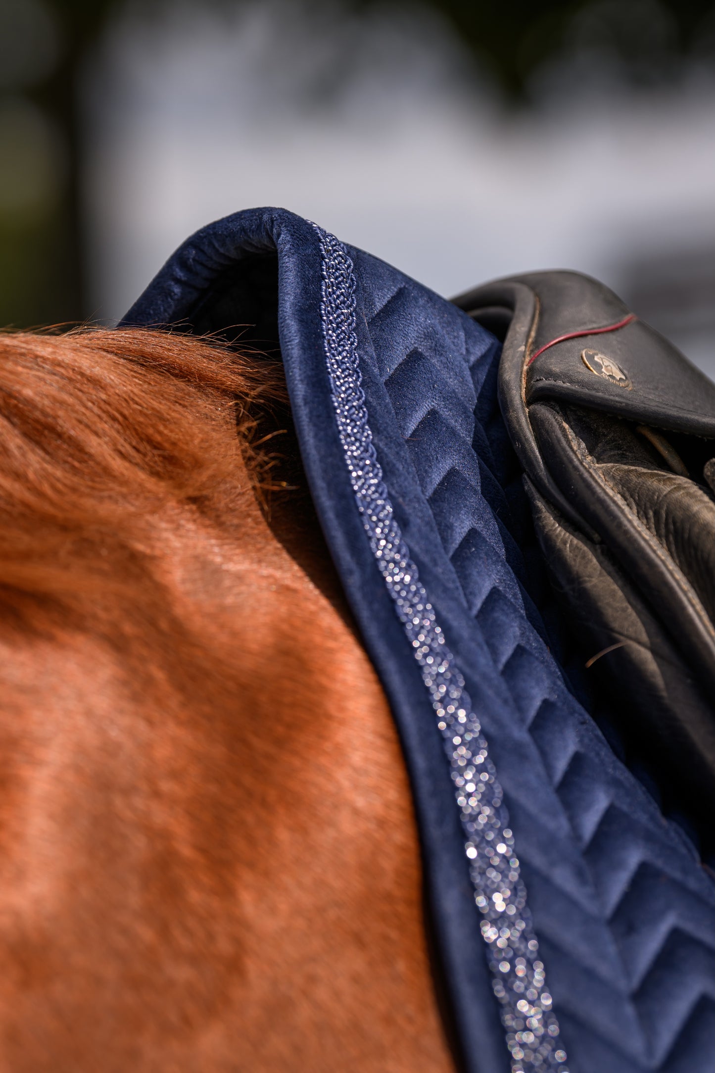 Velvet Schabracke (Navy)